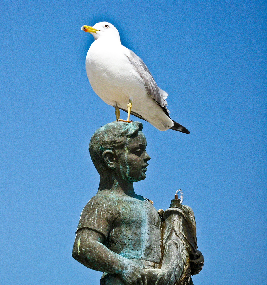 Möwe sitzt auf Figur