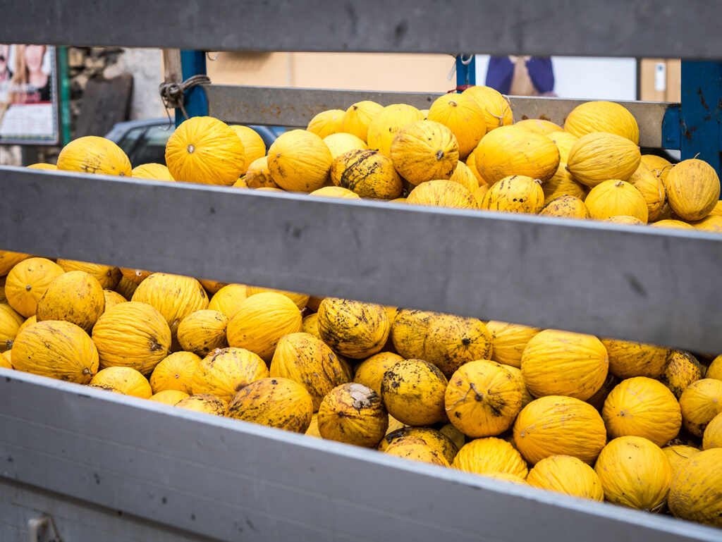 LKW mit vielen Melone beladen