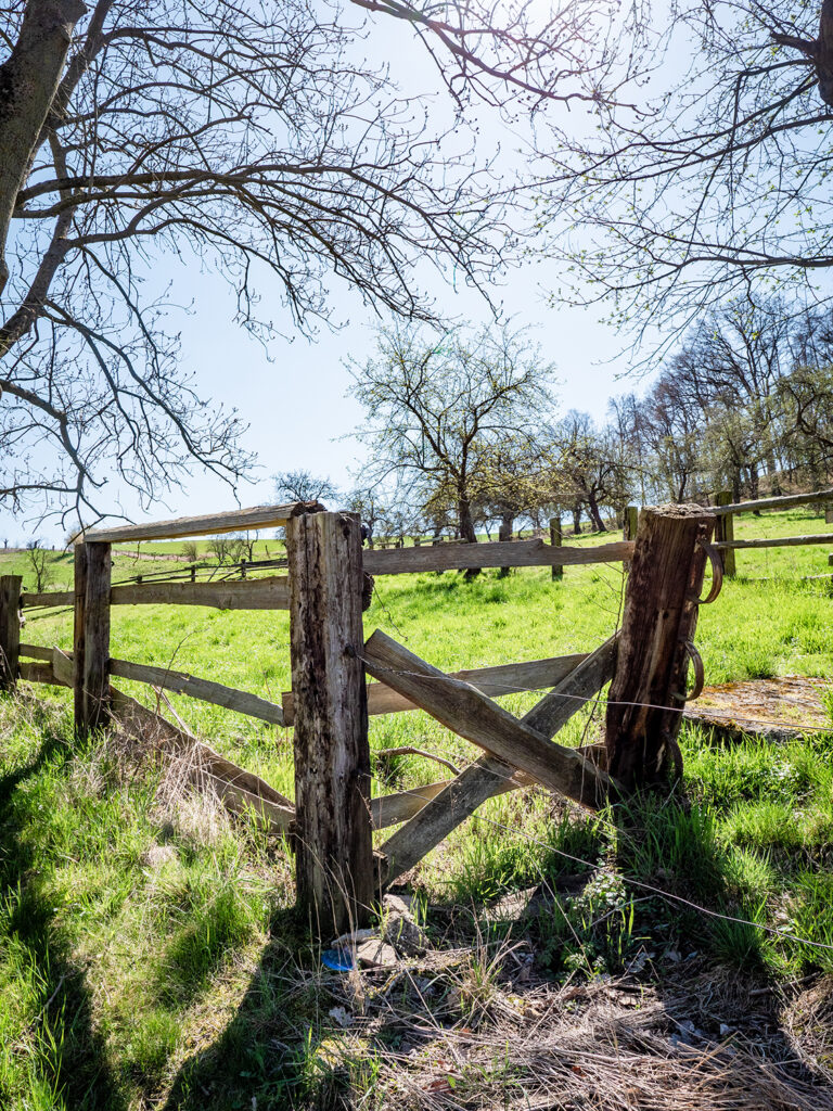 Holzzaun und Wiese
