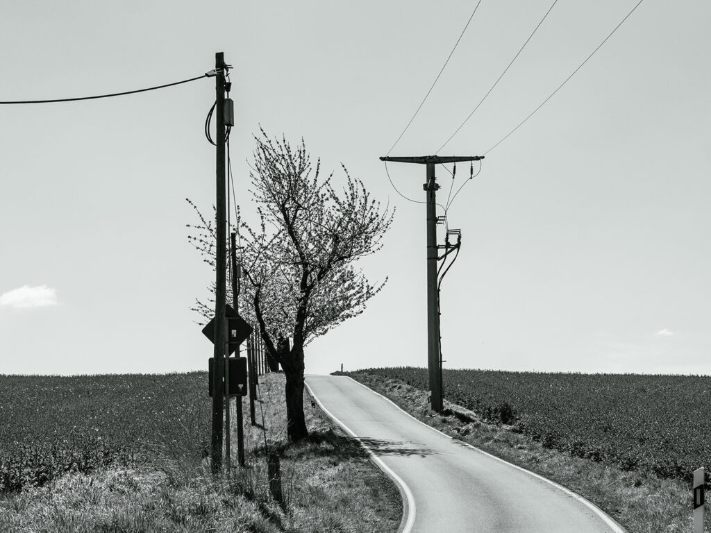 Landstraße in schwarz-weiß