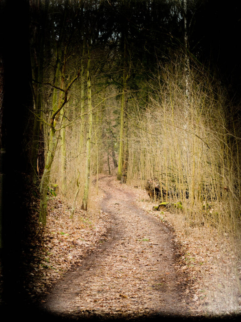 Waldweg