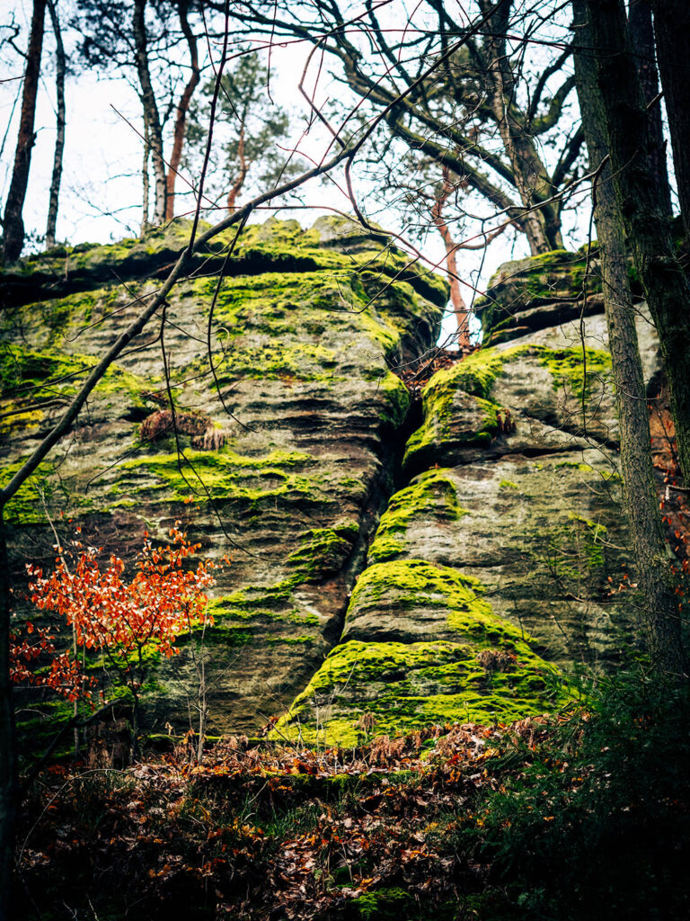 Felsen