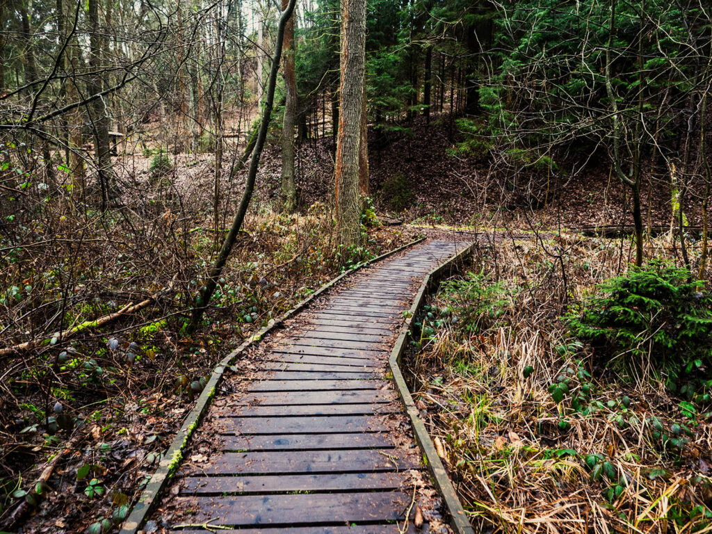 Holzweg