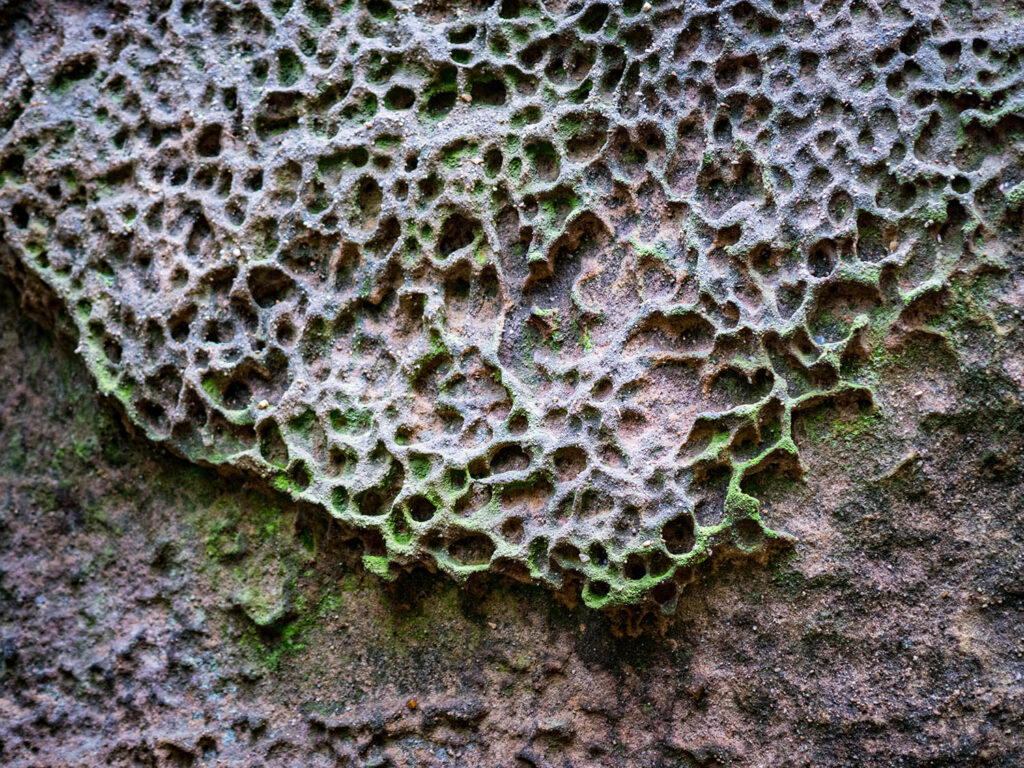 poröse Felsenoberfläche