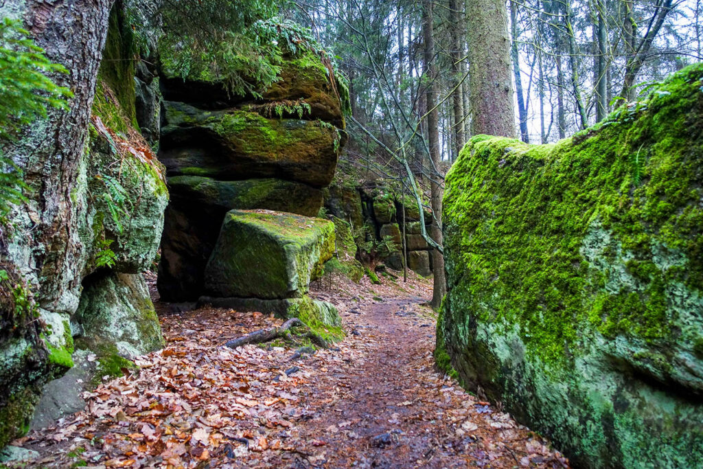 Felsen