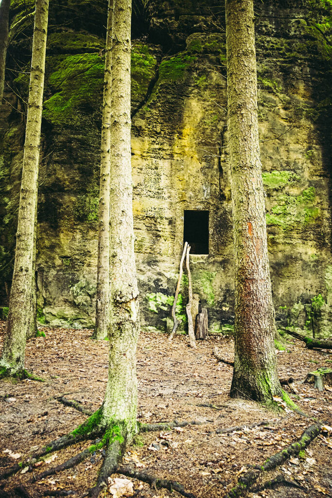 Felsenhöhle im Wald