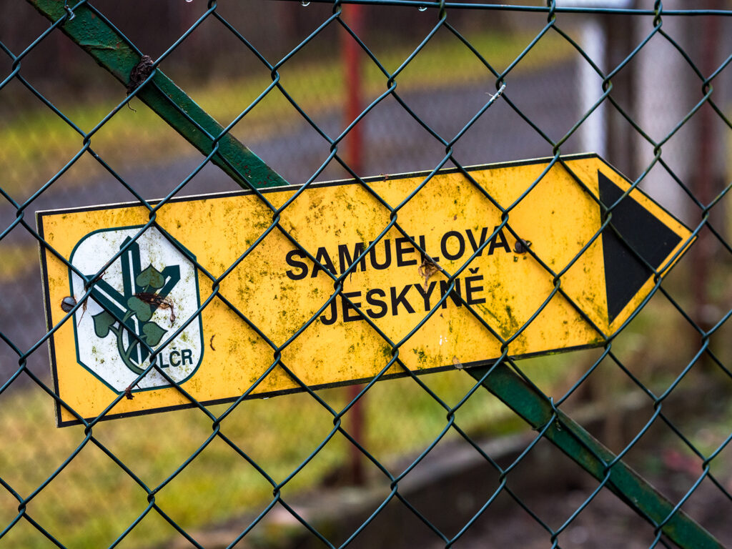 Schild
