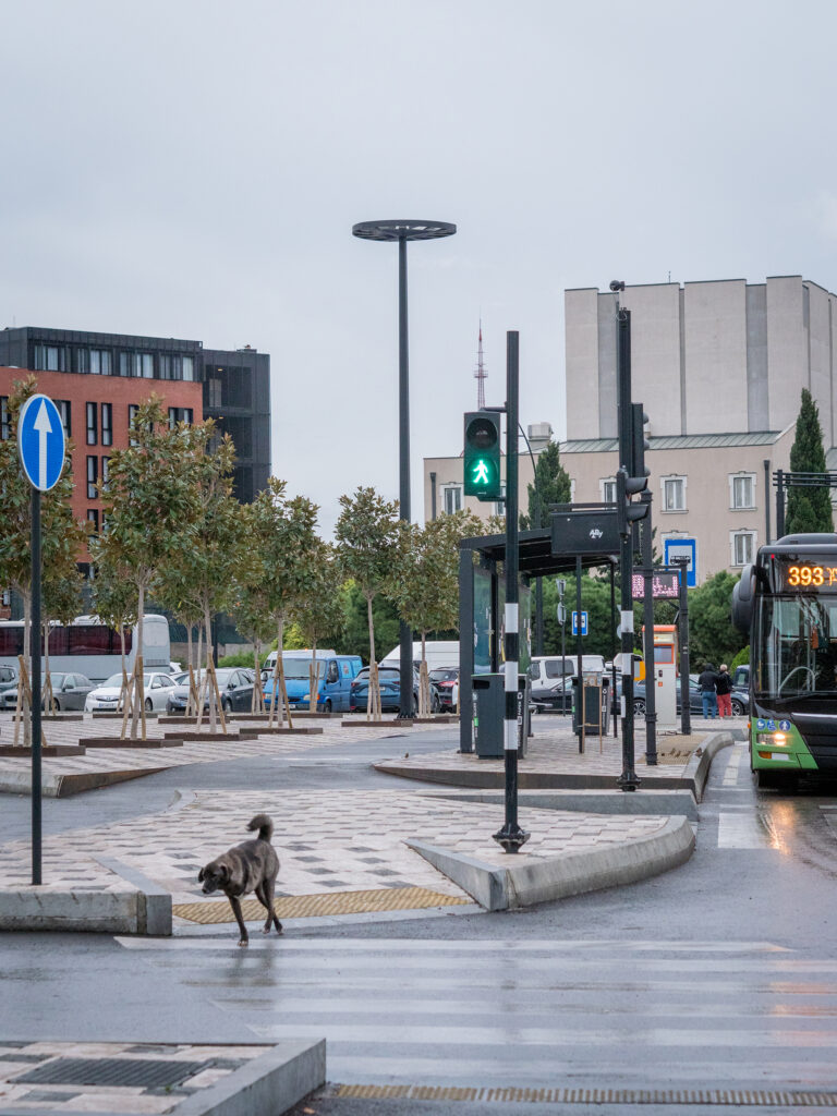 dreibeiniger Straßenhund