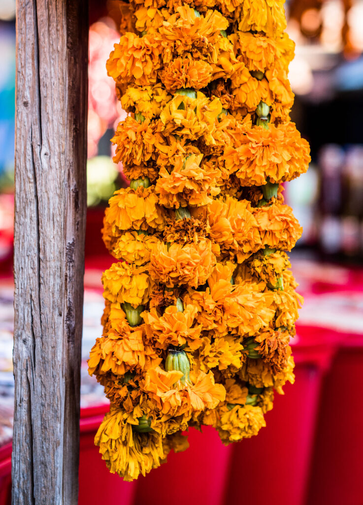 getrocknete Blüten