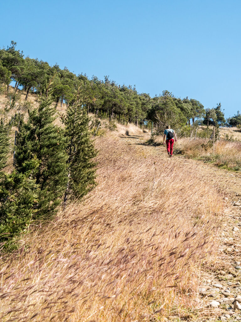 Mann wandert Berg hinauf