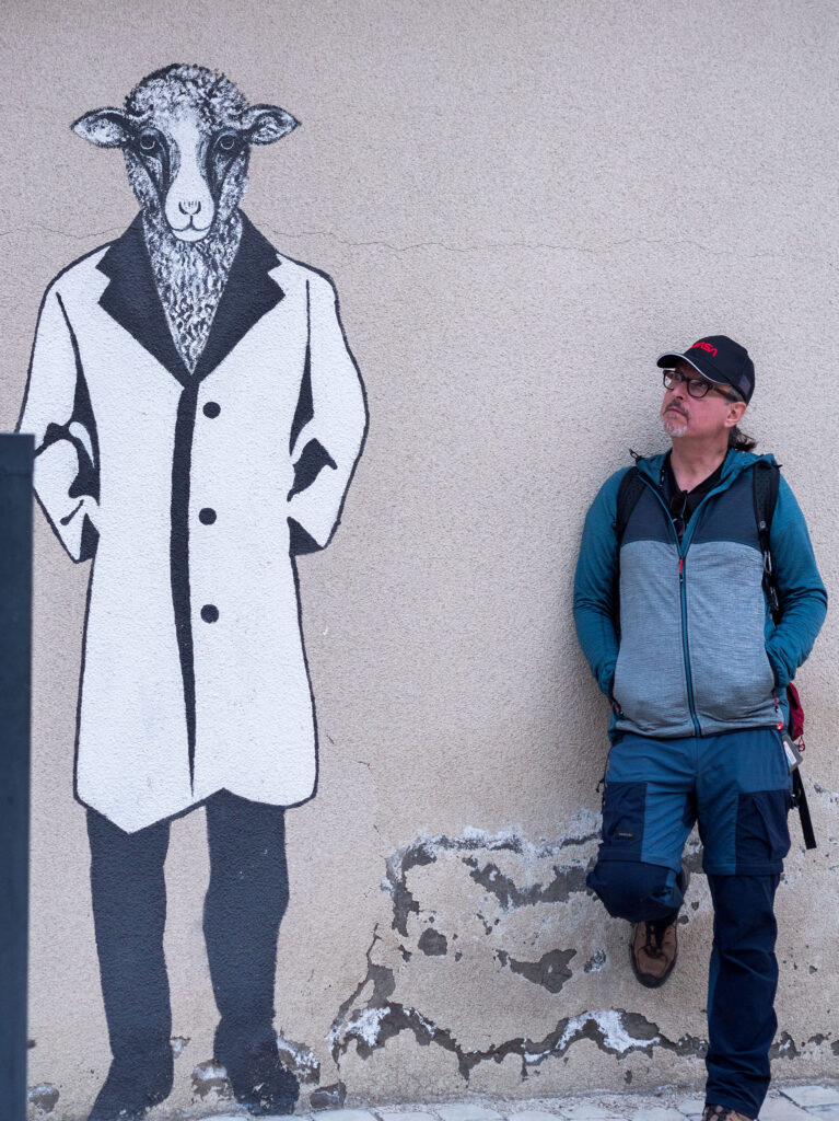 Streetart: Schaf