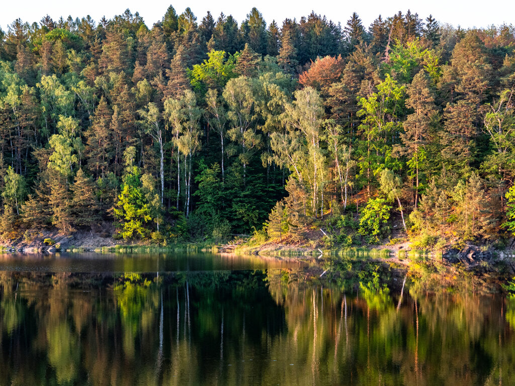 See mit Waldsaum