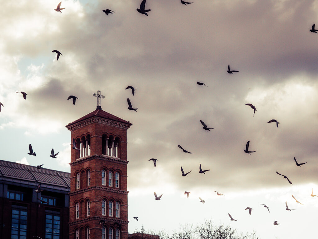 Kirche und Tauben