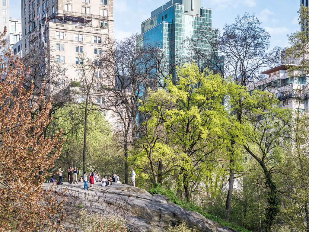 im Park in der Stadt