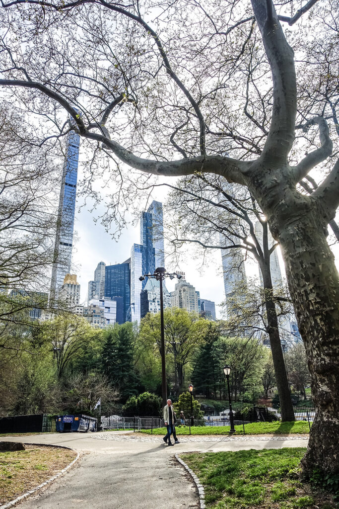 im Park in der Großstadt