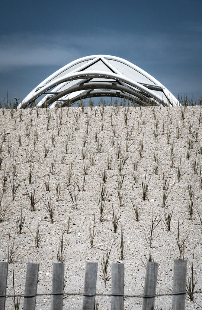 angepflanzte Gräser