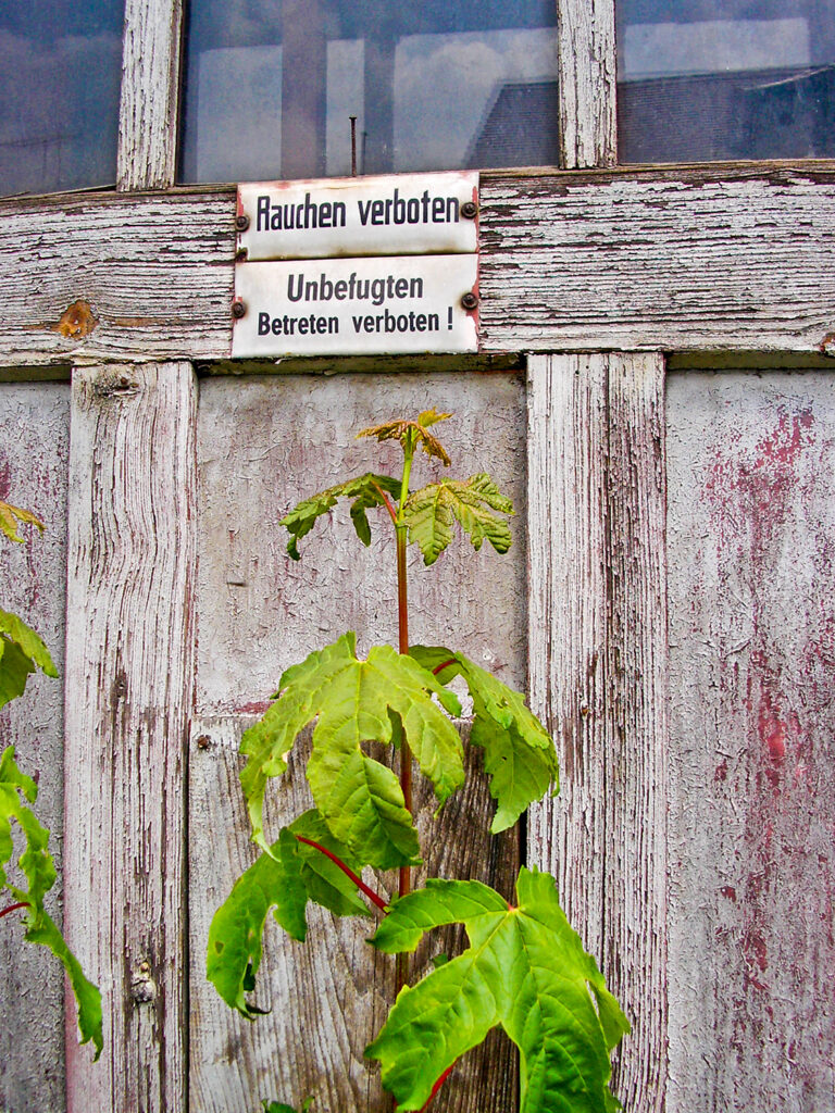 alte Holztür mit Schildern