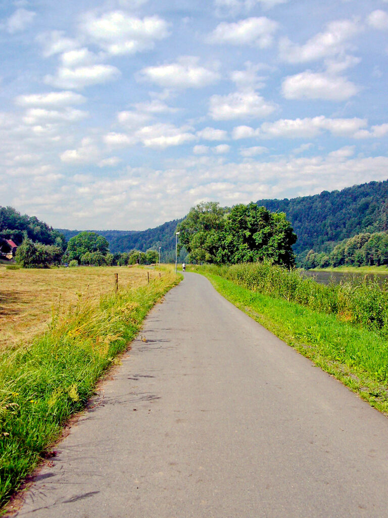 Weg in der Natur