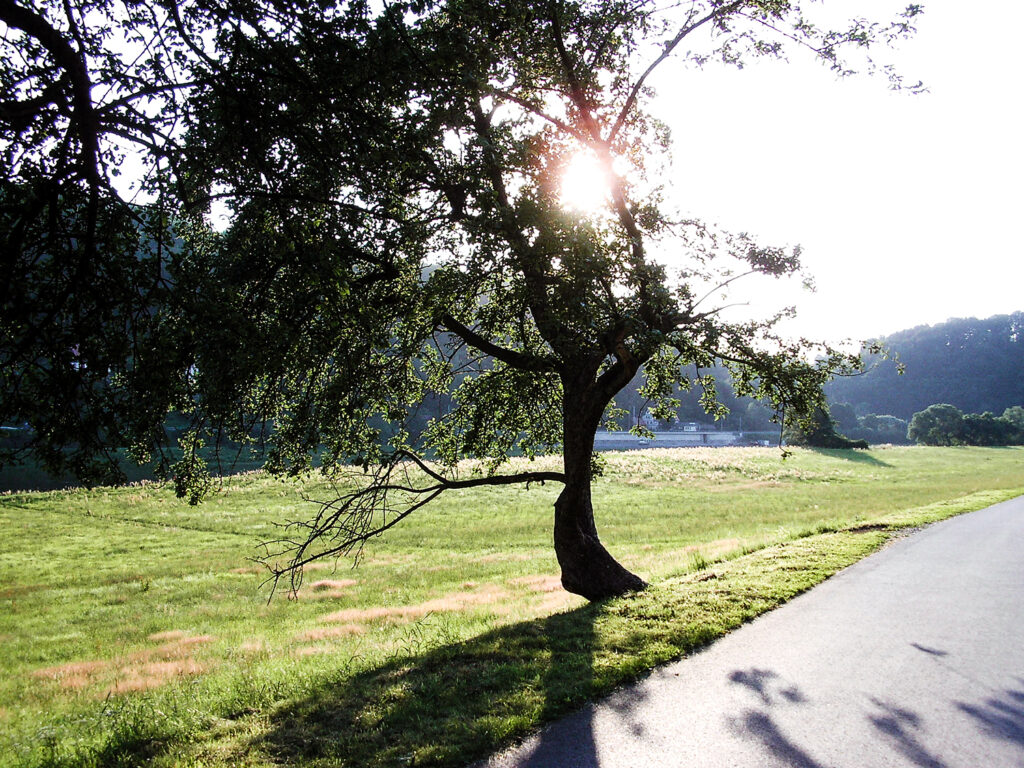 Weg am Fluss