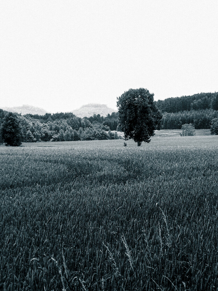 Landschaft