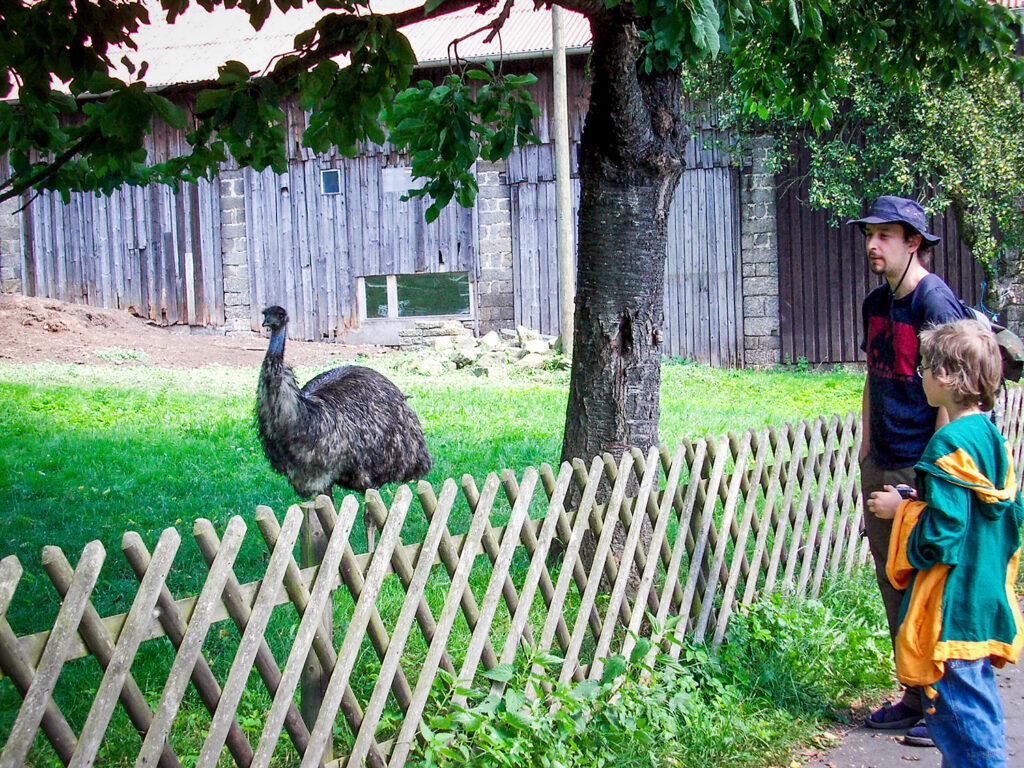 Emu