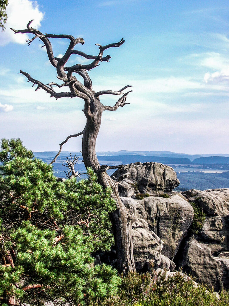 Felsenlandschaft