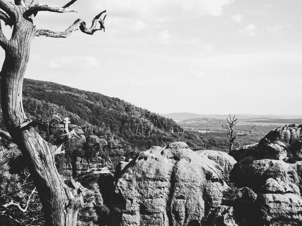 Felsenlandschaft sw