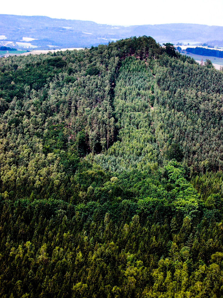 bewaldeter Felsen